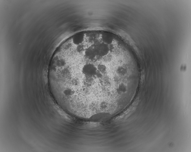 X0000094061409200711091118