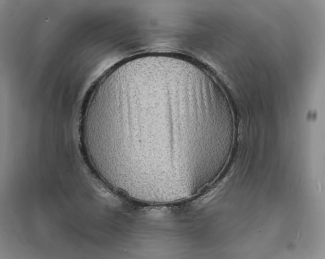 X0000094061410200711091118