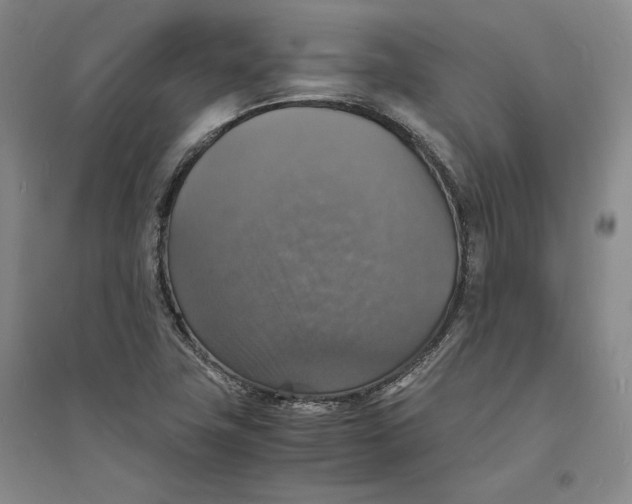X0000094061411200711091118