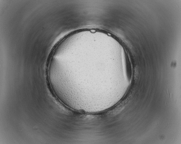 X0000094061412200711091118