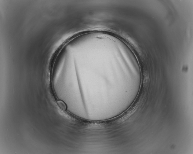 X0000094061414200711091118