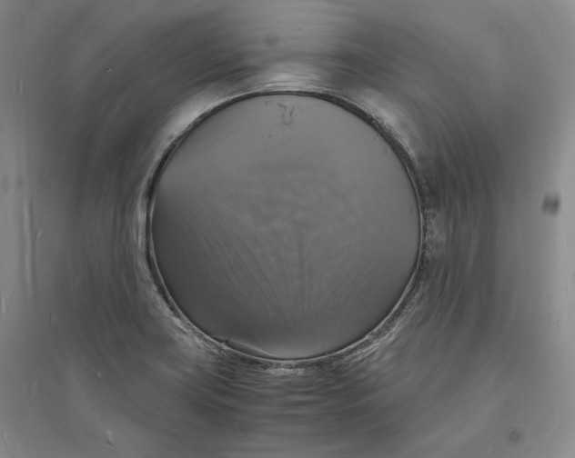 X0000094061419200711091118