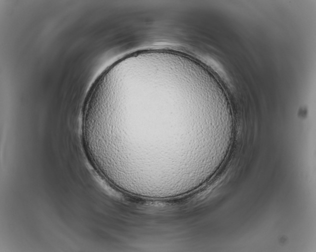 X0000094061420200711091118