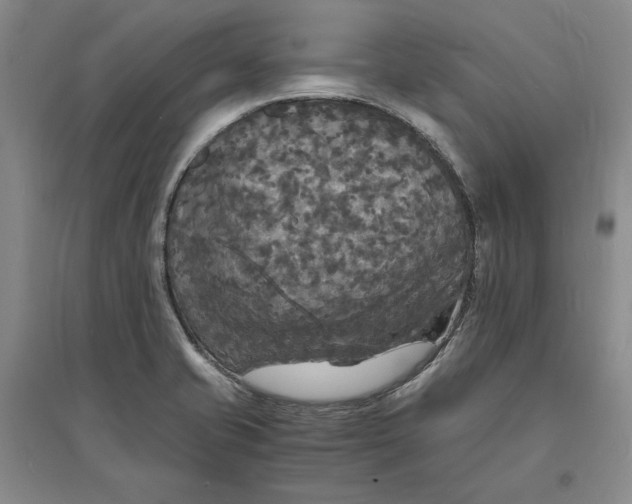 X0000094061421200711091118