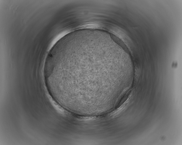 X0000094061426200711091118
