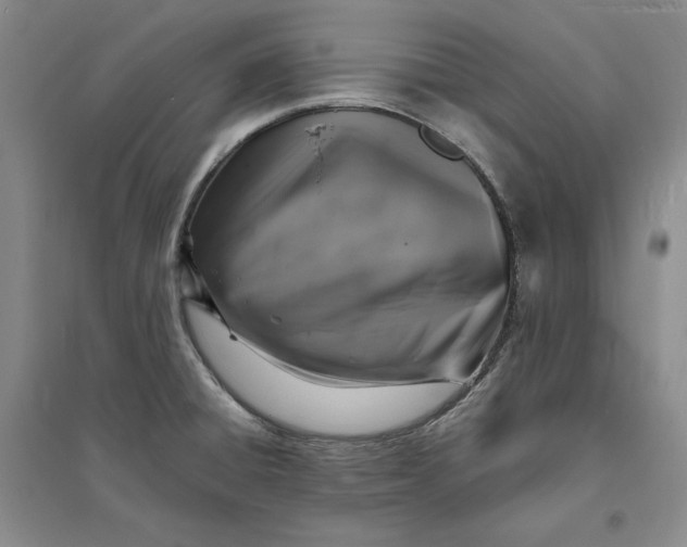 X0000094061428200711091118