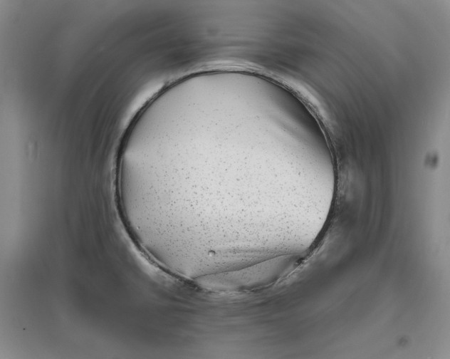 X0000094061430200711091118