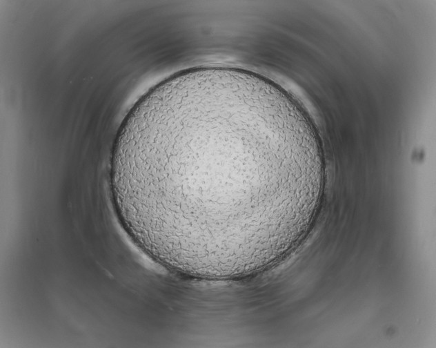 X0000094061432200711091118