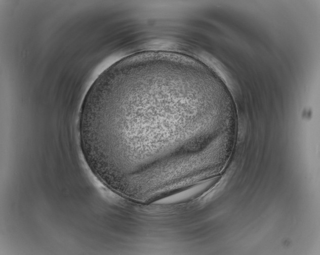 X0000094061434200711091118