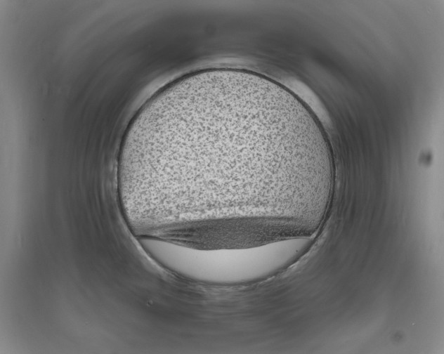 X0000094061436200711091118