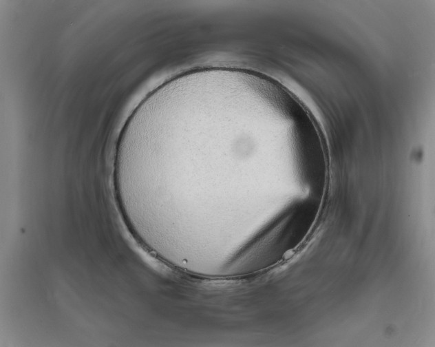 X0000094061437200711091118