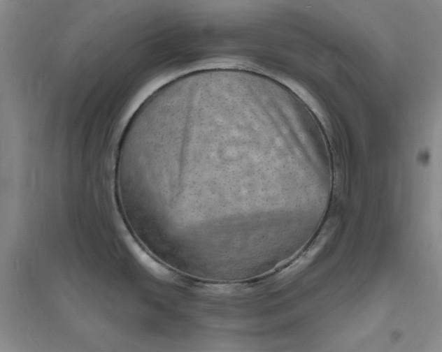 X0000094061438200711091118