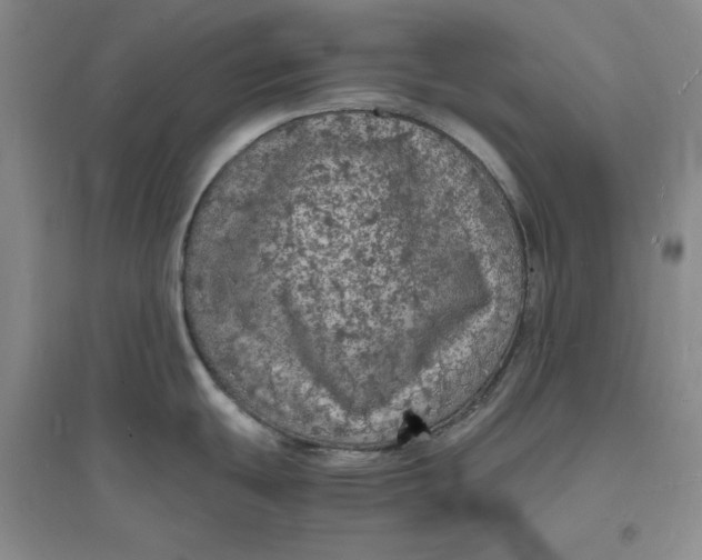 X0000094061439200711091118