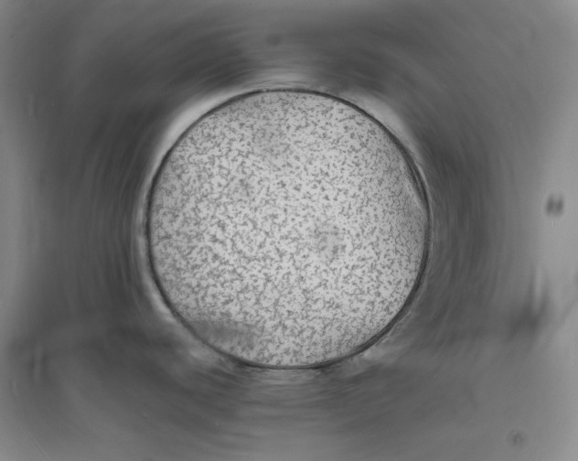 X0000094061440200711091118