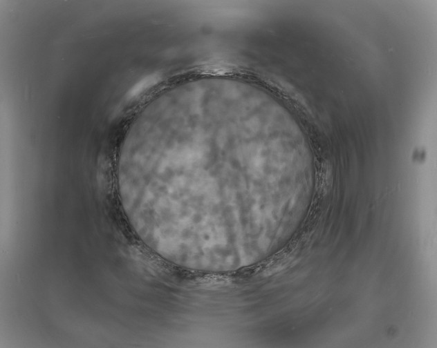 X0000094061446200711091117