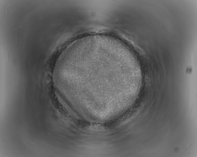 X0000094061447200711091117