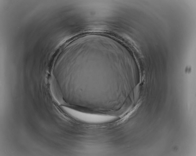 X0000094061449200711091117