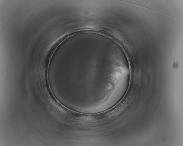 X0000094061450200711091117
