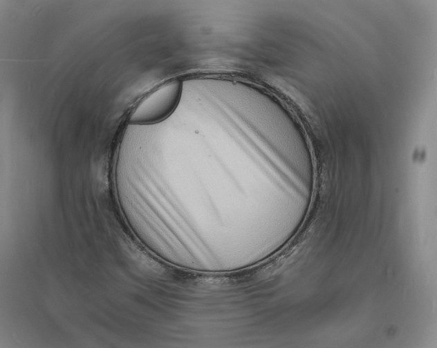X0000094061451200711091117