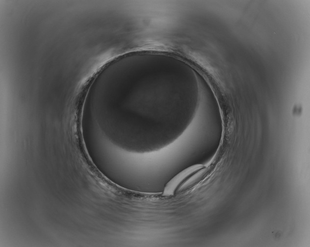 X0000094061455200711091117