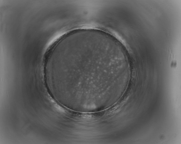 X0000094061456200711091117
