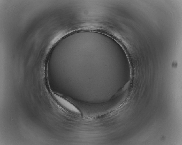 X0000094061459200711091117