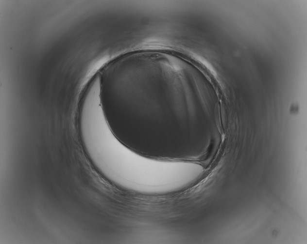 X0000094061461200711091117
