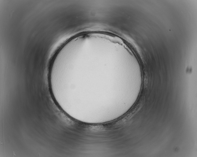 X0000094061464200711091117