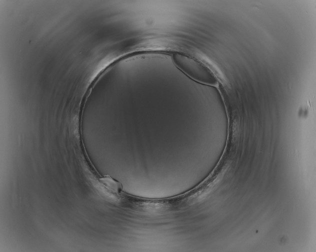X0000094061465200711091117