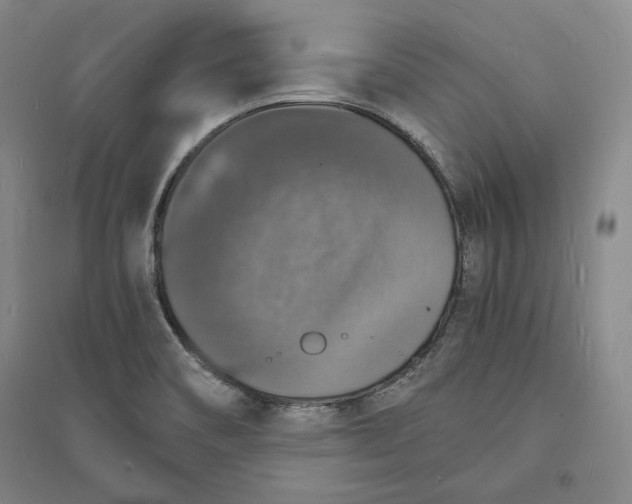 X0000094061466200711091117