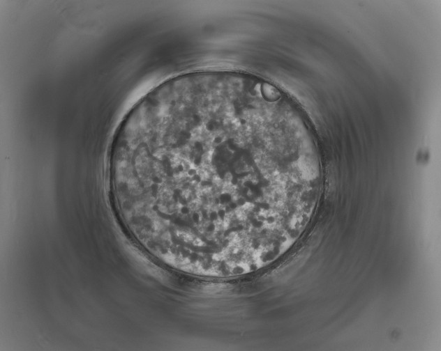 X0000094061467200711091117