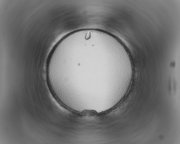 X0000094061468200711091117
