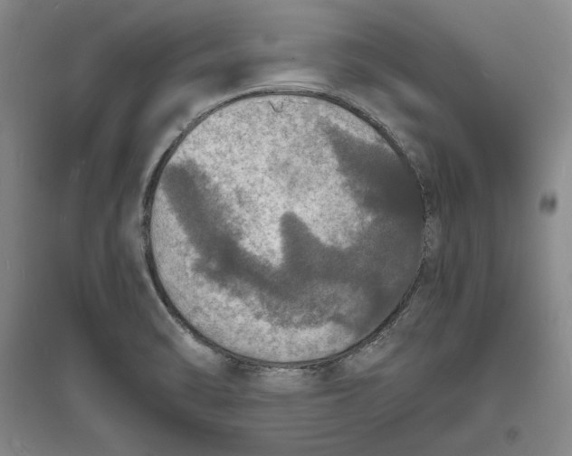 X0000094061470200711091117