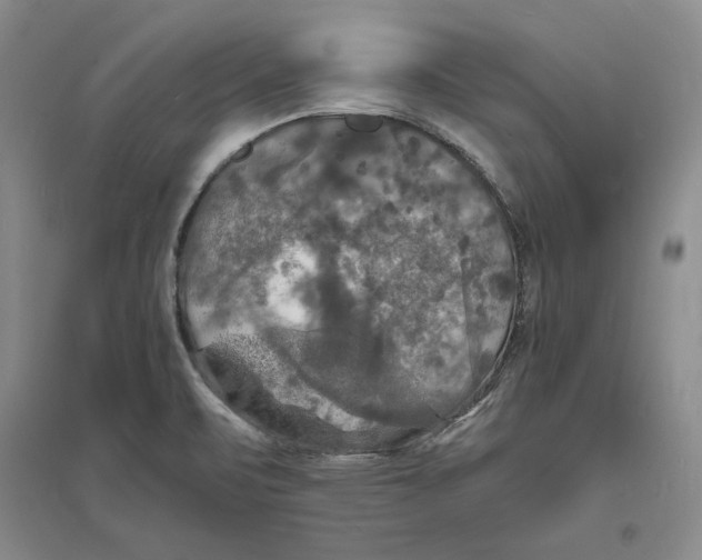 X0000094061471200711091117