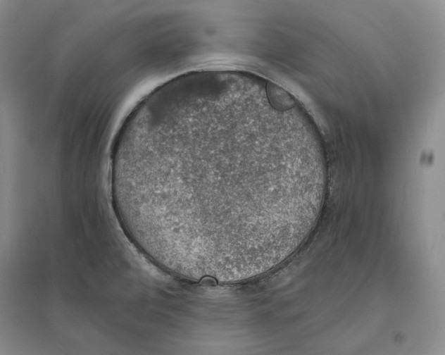 X0000094061472200711091117