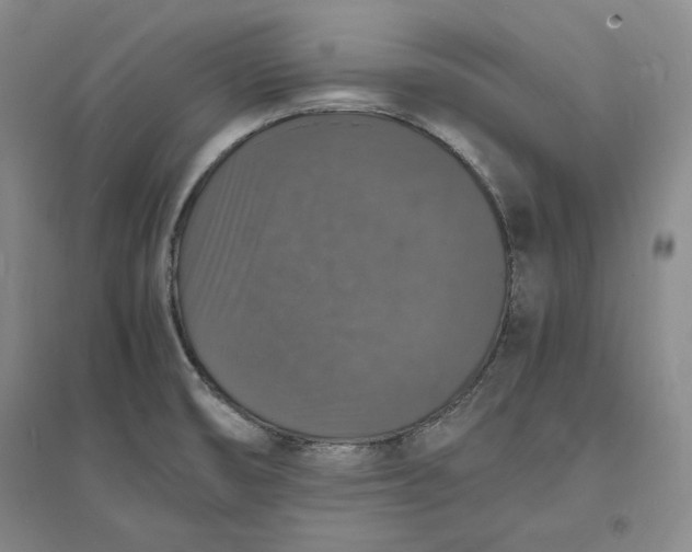 X0000094061474200711091117