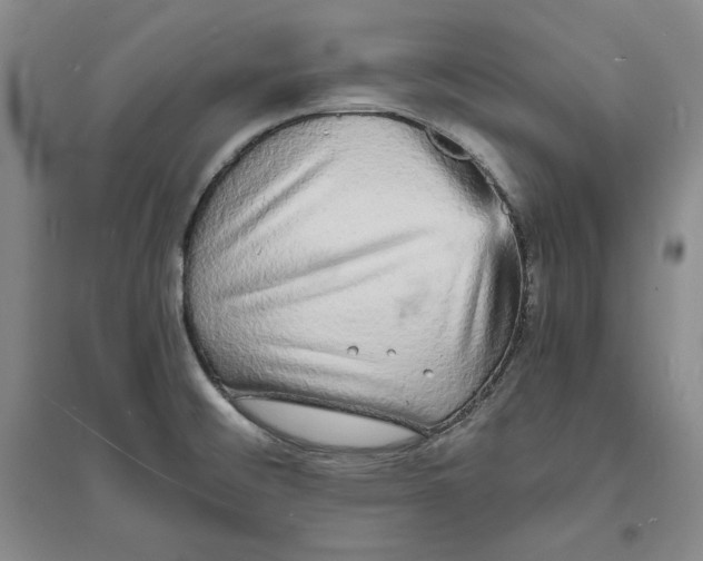 X0000094061476200711091117