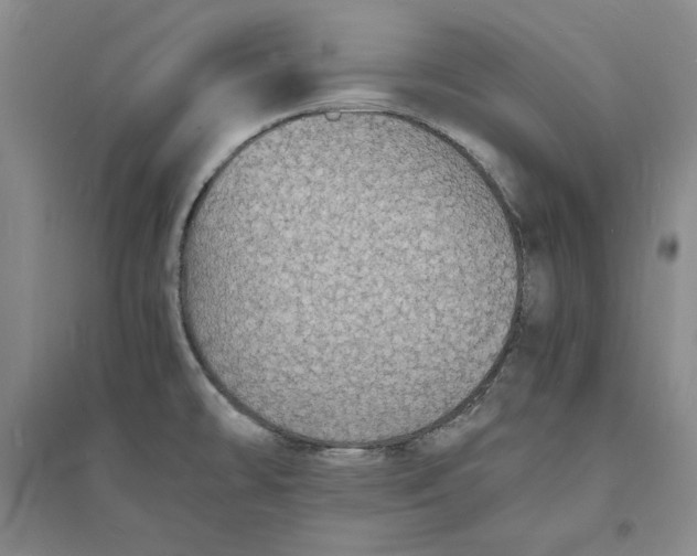 X0000094061478200711091117