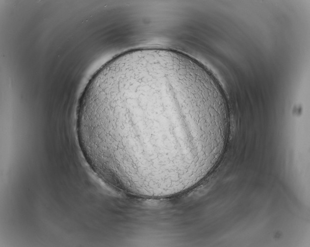 X0000094061480200711091117