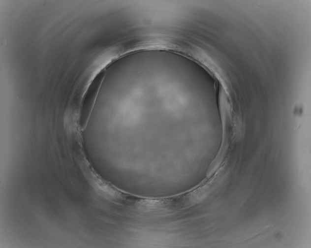 X0000094061481200711091117