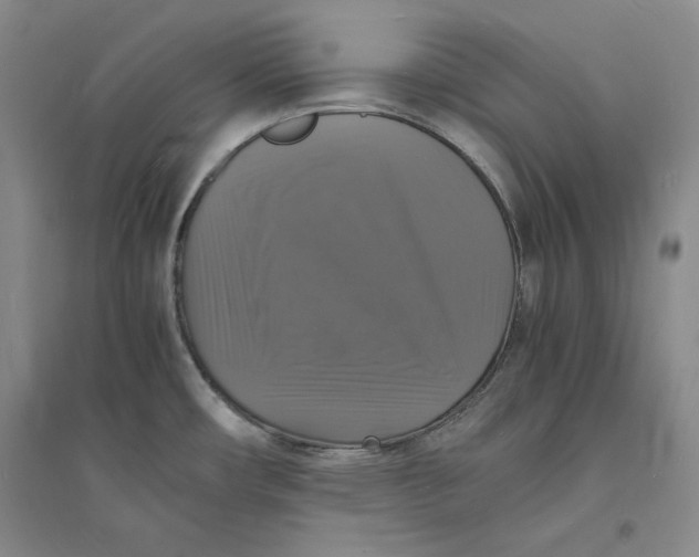 X0000094061482200711091117