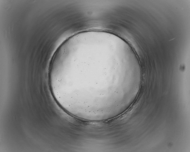 X0000094061483200711091117