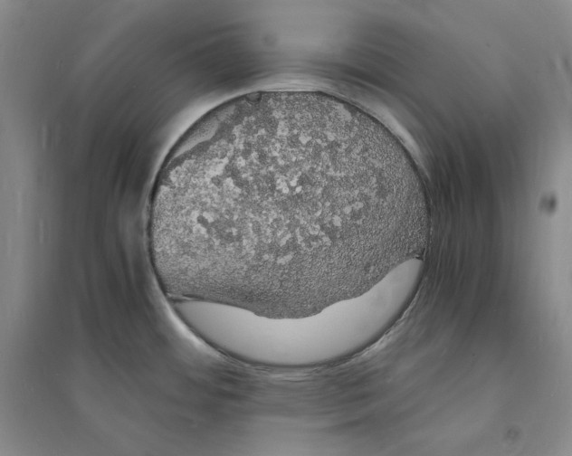 X0000094061484200711091117