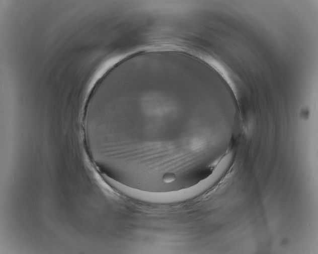 X0000094061485200711091117