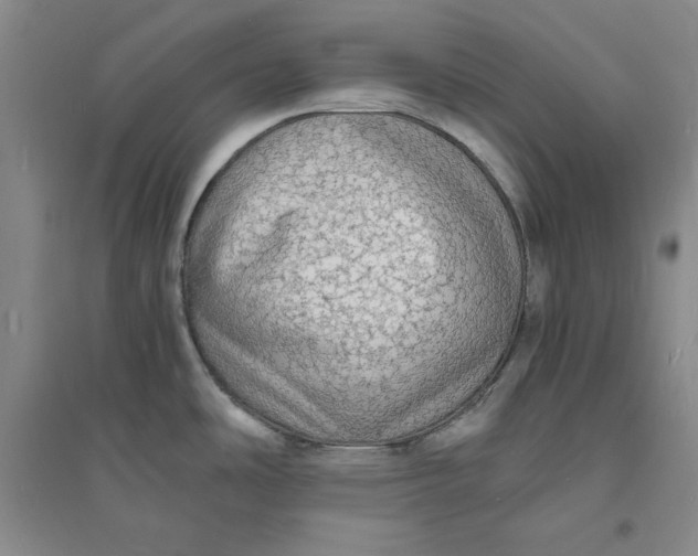 X0000094061486200711091117