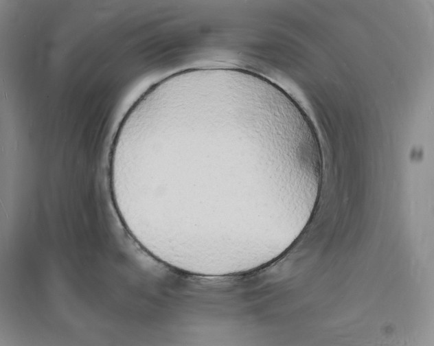 X0000094061488200711091117
