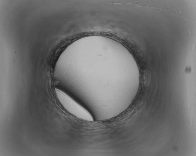 X0000094061493200711091116