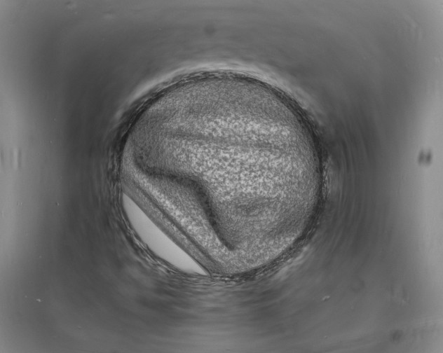 X0000094061494200711091116