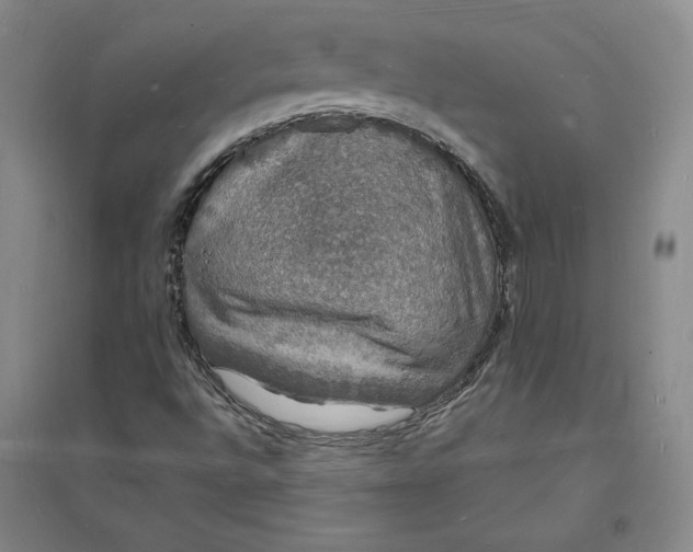 X0000094061496200711091116