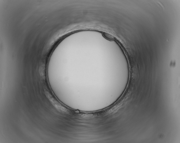 X0000094061499200711091116